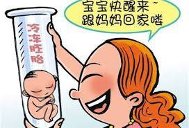 陈若晴 副院长